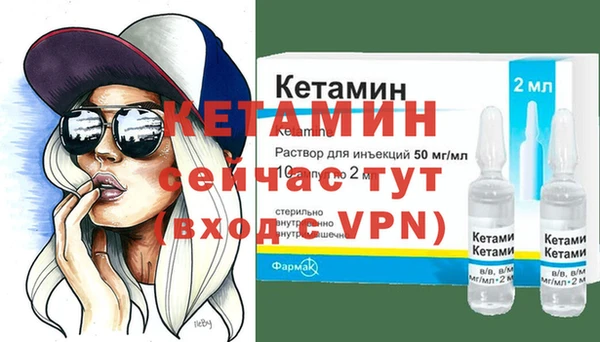 сатива Покачи