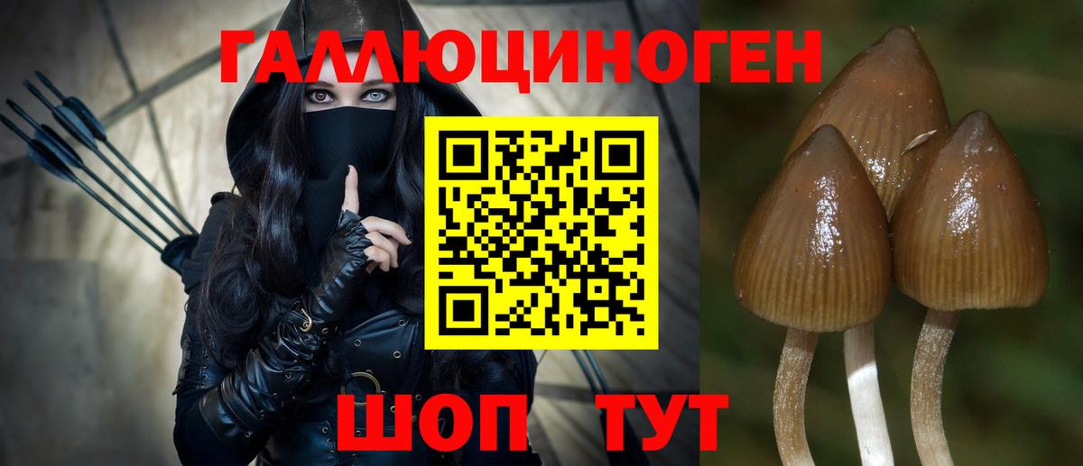 Галлюциногенные грибы Psilocybine cubensis Похвистнево